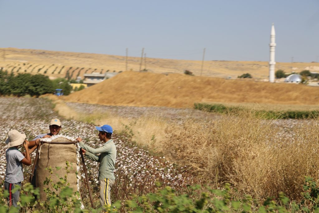 Typographer (1961-1977) Eftaxias Acihilleas