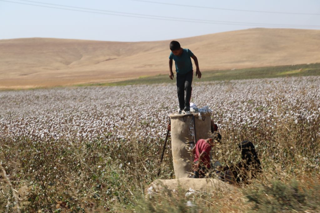 Typographer (1961-1977) Eftaxias Acihilleas